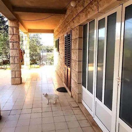 Big House For 14 People In Centre Of Apartment *